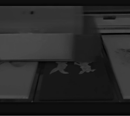 Direct to Garment (DTG) Printing