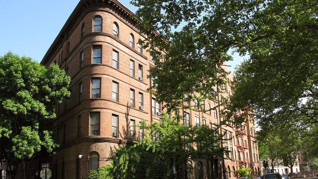 Harlem Fashion Brand: Where Culture Meets the Crown of Style