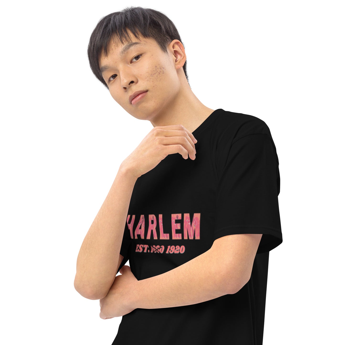 Harlem Disco Men’s premium heavyweight tee